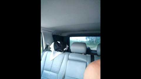 mary34561 @ bongacams on 20250728