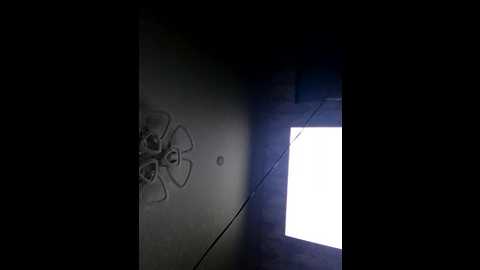 retsept_peshenek @ bongacams on 20250728