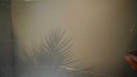 heybanana @ bongacams on 20250729