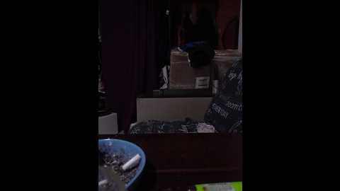 loki77456 @ bongacams on 20250729