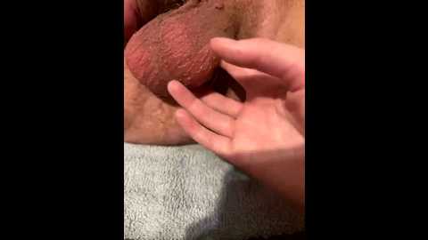 sweet_ka @ bongacams on 20250729