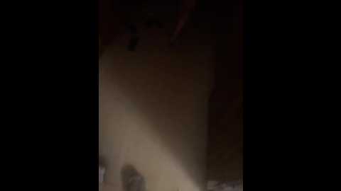 xyligana @ bongacams on 20250730