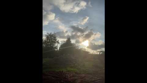 karolina7 @ bongacams on 20250731