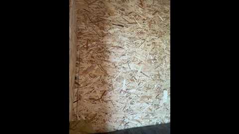 mialiahot @ bongacams on 20250731