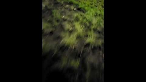 sweetcoople @ bongacams on 20250731