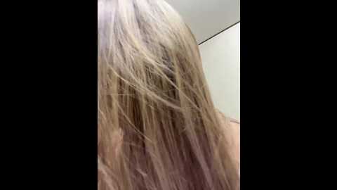 _breid_1 @ bongacams on 20250801
