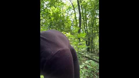 babydarii @ bongacams on 20250801