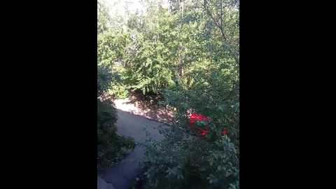 loki77456 @ bongacams on 20250801