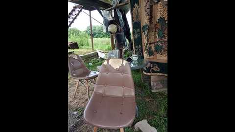 seksiirena @ bongacams on 20250801