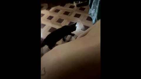 sexamani