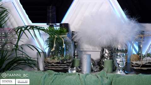 taanni @ bongacams on 20250801