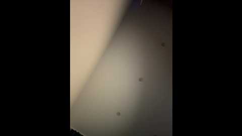 koshka11 @ bongacams on 20250803