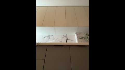 alliina_leee @ bongacams on 20250804