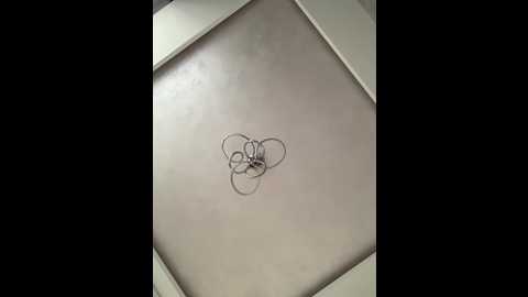 nezukoo @ bongacams on 20250804