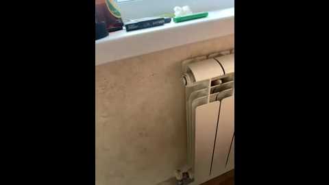 enotpanteera @ bongacams on 20250805