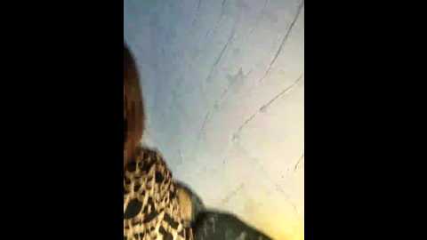 mary34561 @ bongacams on 20250805