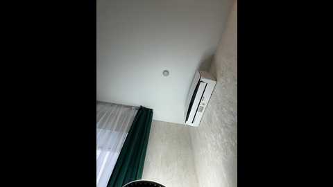 ellidi @ bongacams on 20250806