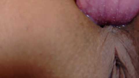 farianaall @ bongacams on 20250806