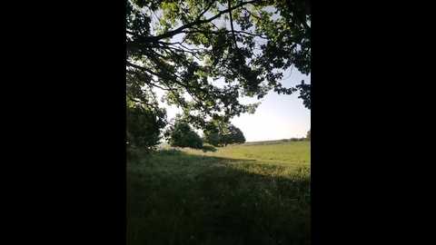 her_girl @ bongacams on 20250806