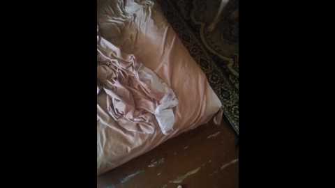 john8282 @ bongacams on 20250806