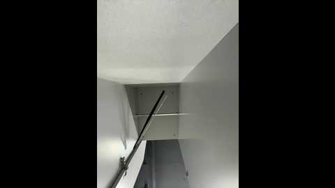 adelaida1001 @ bongacams on 20250808