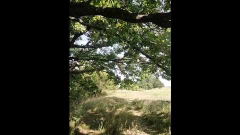 her_girl @ bongacams on 20250808