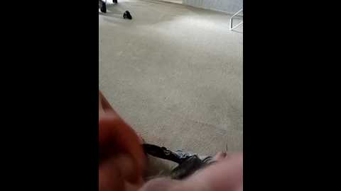 eva6 @ bongacams on 20250811