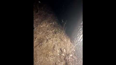 artem29aalisa29 @ bongacams on 20250812