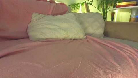 lili_roze @ bongacams on 20250812