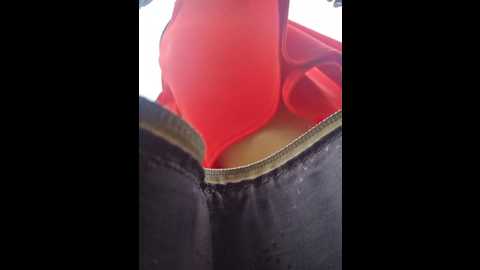 editamilf @ bongacams on 20250814