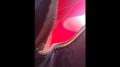 editamilf @ bongacams on 20250814