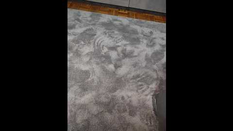 tattooedcouple @ bongacams on 20250814