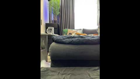 vero19nika @ bongacams on 20250814