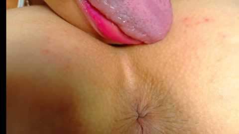 farianaall @ bongacams on 20250815