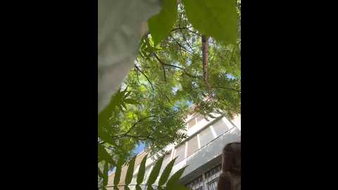 alizii @ bongacams on 20250817