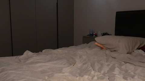 elisonni @ bongacams on 20250817