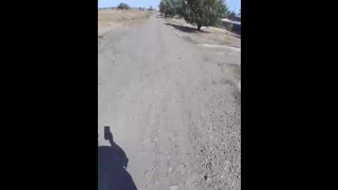 ihor5656 @ bongacams on 20250817