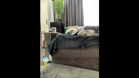 vero19nika @ bongacams on 20250817