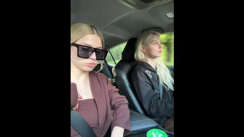 vibromashulkadashulka @ bongacams on 20250817