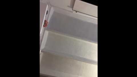 sallyeleins @ bongacams on 20250820