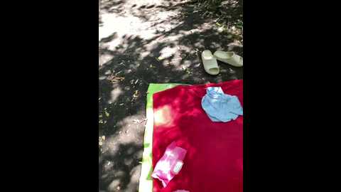 crazy_lady @ bongacams on 20250821