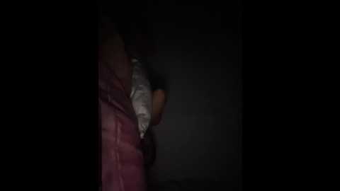 sallyeleins @ bongacams on 20250821