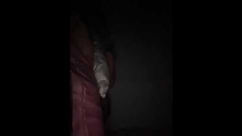 sallyeleins @ bongacams on 20250821