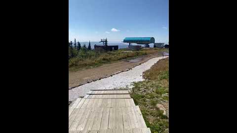 3hotandyoung3 @ bongacams on 20250822