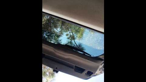 _pypsiki_ @ bongacams on 20250822