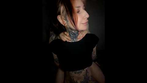 shnesyne