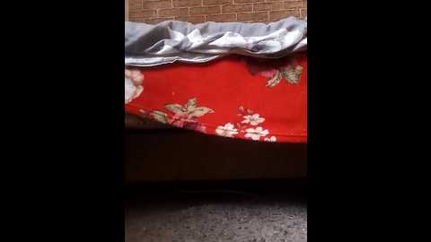 ameteresa @ bongacams on 20250830