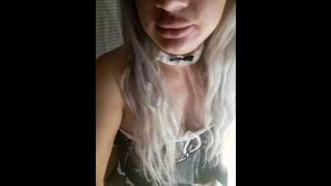 cat_bars69