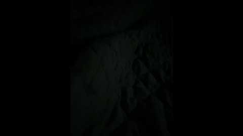 vitaliikz @ bongacams on 20250830