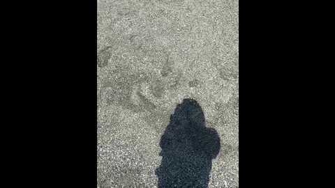 orgazmia @ bongacams on 20250831